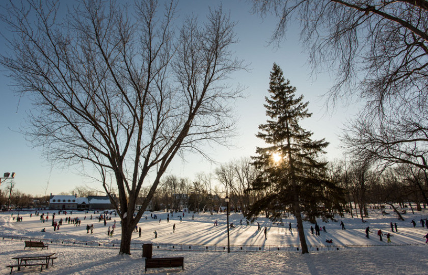 Patinoire-ecluses-terrebonne