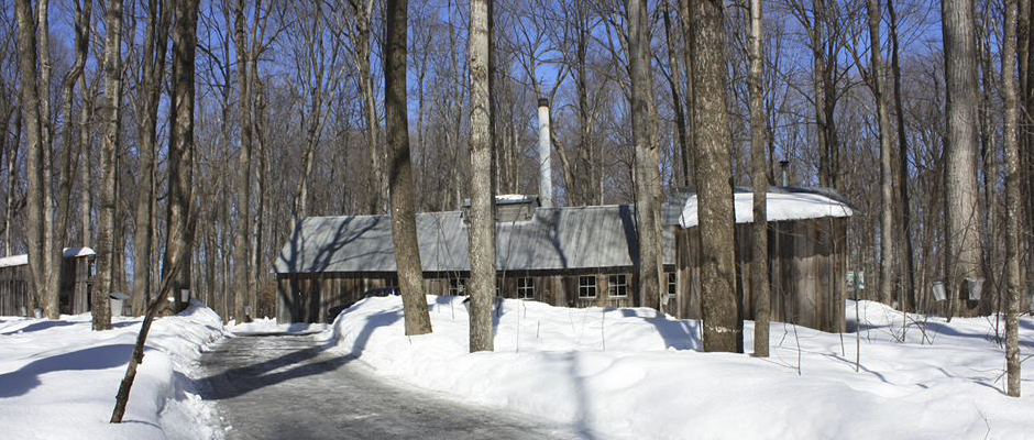 Découvrez la Sucrerie d’antan de Bois de Belle-Rivière