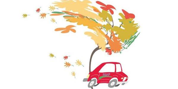 rallyedautomne