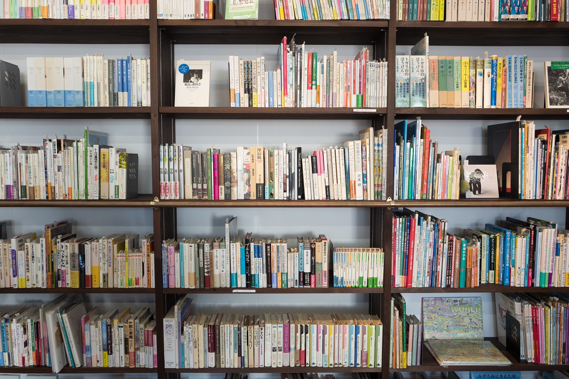 L’Annexe musée : un centre de documentation sur l’art contemporain